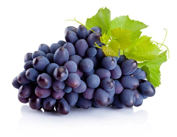 Fresh Blue Grapes Leaves Isolated White Background — Stock Photo, Image