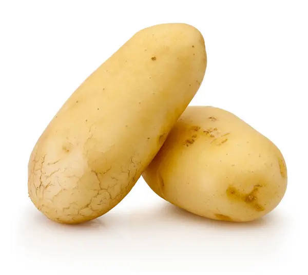 Zwei Rohe Kartoffeln Isoliert Auf Weißem Hintergrund lizenzfreie Stockfotos