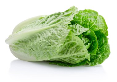 Fresh green romaine Lettuce isolated on a white background