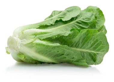 Fresh green romaine lettuce isolated on a white background