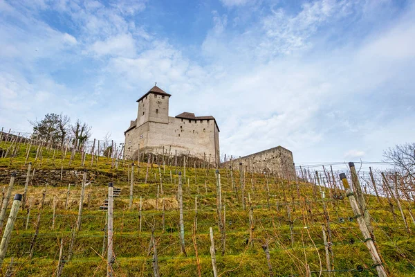Wahrzeichen Der Burg Gutenberg Mit Weinberg Und Blauem Himmel Winter — Stockfoto