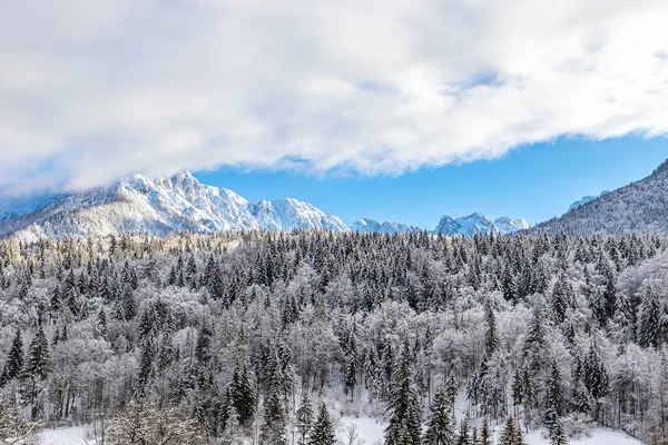 Landschaftsbild Der Gipfel Der Julischen Alpen Winterzeit Tarvisio Der Nähe — Stockfoto