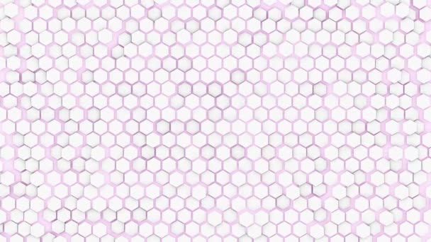 Live Wallpaper Turbulente Golvende Witte Kleine Zeshoeken Tegel Licht Roze — Stockvideo