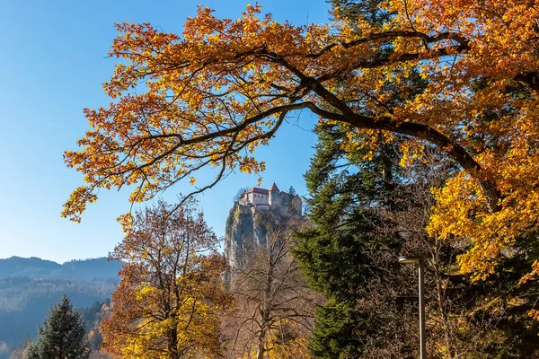 Замок Блед Скале Осенью Солнечный День Голубое Небо Желтые Деревья — стоковое фото