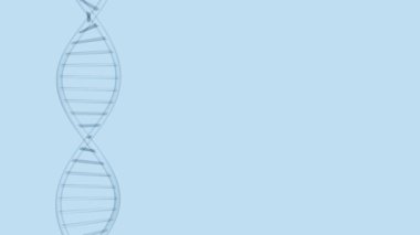 Açık mavi arka planda DNA 'nın 3 boyutlu animasyonu, bilimsel tıbbi sorunsuz animasyon
