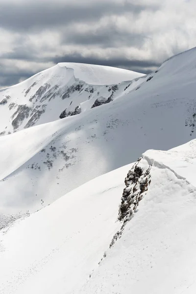 Vinterlandskap Med Snötäckta Bergssluttningar — Stockfoto