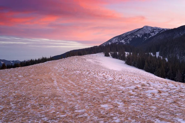 Paisaje Invernal Con Hermoso Amanecer Invernal Las Montañas Una Mañana — Foto de Stock