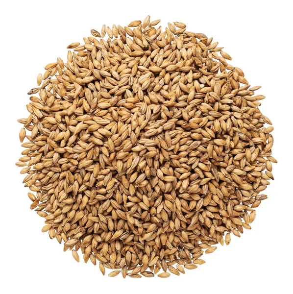 stock image Pale ale malt for brewing