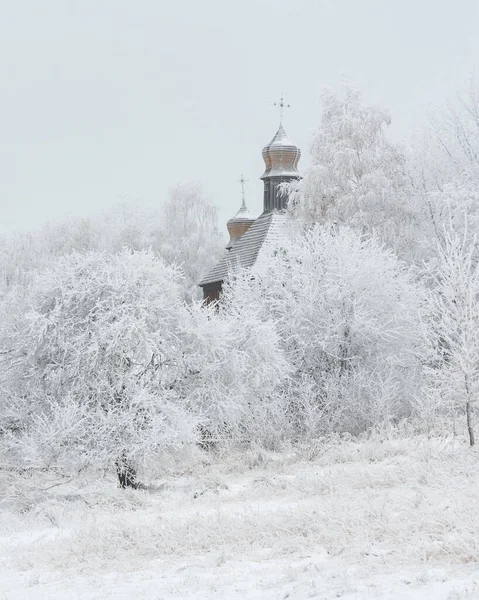 Inverno Nevoso Nel Museo Nazionale Architettura Popolare Vita Dell Ucraina — Foto Stock