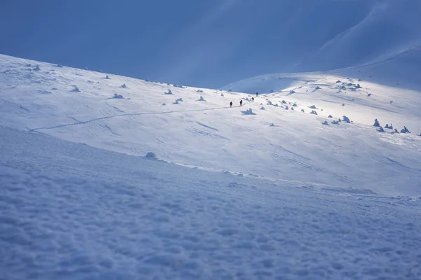 雪原をバックパックで歩く冬の山岳ハイキングの観光客のグループ — ストック写真