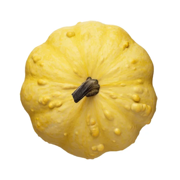 Gourds Decorativi Gialli Isolati Sfondo Bianco — Foto Stock