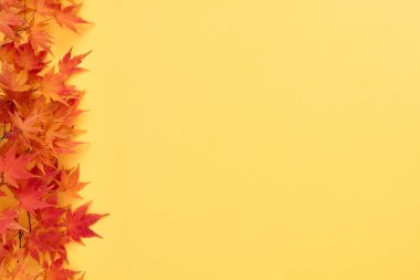 Yaprak Sınırlı Sarı Sonbahar Arkaplanı