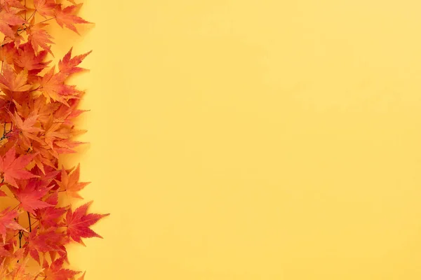 Żółta Jesień Tło Liściastej Granicy — Zdjęcie stockowe