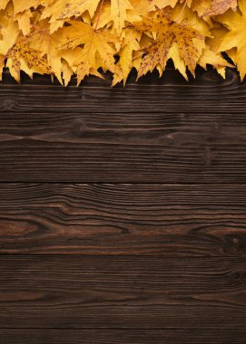 Sarı Akçaağaç Akçaağaç ile Düş Kahverengi Tahta Masa üzerinde Boşluk Bırakır