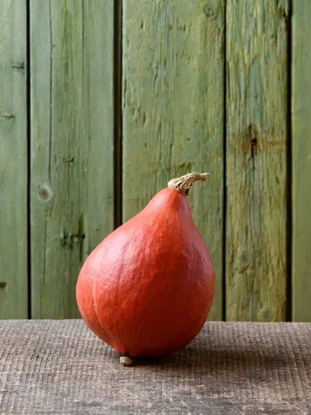 stock image Uchiki Kuri Squash or Hokkaido Pumpkin on an Old Rustic Table with Green Background