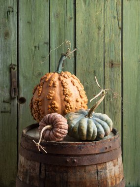 Still Life with Musquee de Maroc, Black Futsu, and Chinese Butternut Pumpkins on a Rustic Wooden Barrel