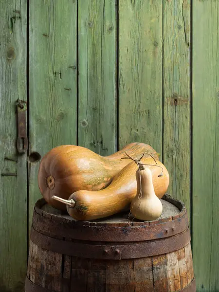 stock image Still Life with Butternut Squash on a Wooden Barrel Against a Green Background