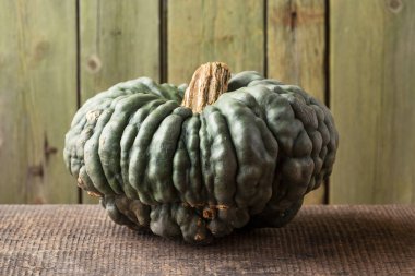 Marina di Chioggia Kırsal Masada Siğilli Balkabağı