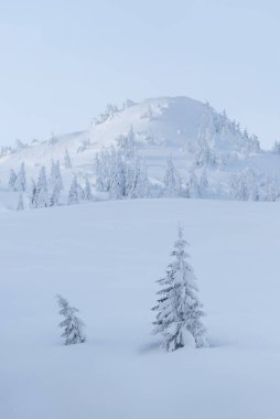 Karla kaplı yamaçlar ve karlı ağaçlarla kaplı kış manzarası