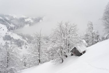 Snowy Winter Landscape In Mountain Village Featuring Old Wooden Cabin Beside Frosty Trees In Misty Weather