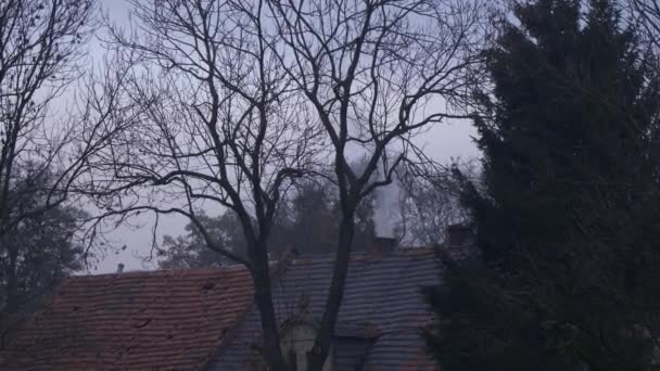 Rök Från Skorsten Ett Gammalt Hus Polen Hösten Uppvärmningskris Europa — Stockvideo