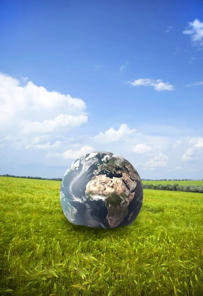 Planet Jorden Vetefält Ekologi Koncept — Stockfoto