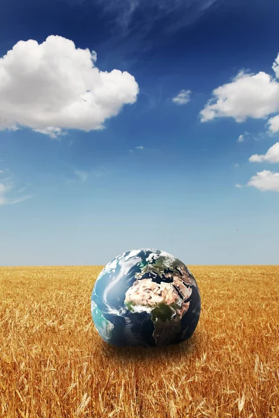 Планета Земля Пшеничном Поле Экологическая Концепция — стоковое фото