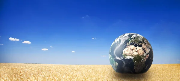 Planeta Země Pšeničném Poli Koncepce Ekologie — Stock fotografie