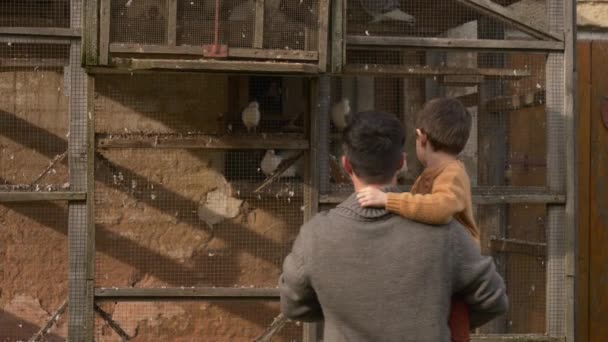 비둘기 집에서 비둘기를 기르는 아버지 와아들 폴란드 — 비디오