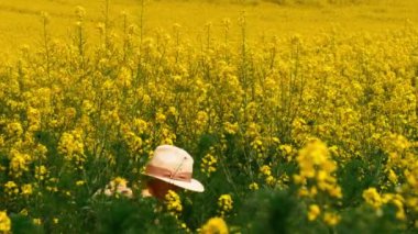 Küçük çocuk kolza tohumu tarlasında oynuyor.