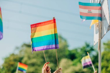 LGBT bayrağı Wroclaw 'da Gurur, Polonya