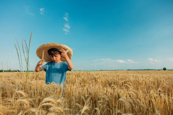 Yazın Buğday Tarlasında Şapkalı Küçük Çocuk — Stok fotoğraf