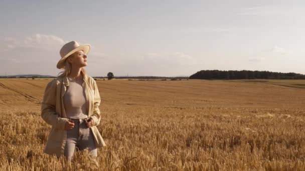 Портрет Стильной Женщины Шляпе Ковбойши Желтом Пшеничном Поле Голубым Небом — стоковое видео