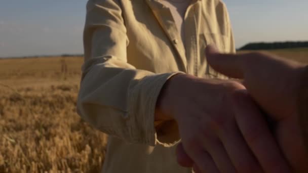 Female Male Farmers Handshake Yellow Wheat Field Poland — Stock Video