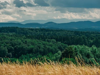 Dağlara bak Yağmurlu bir günde sudetler Yazın bulutlarla