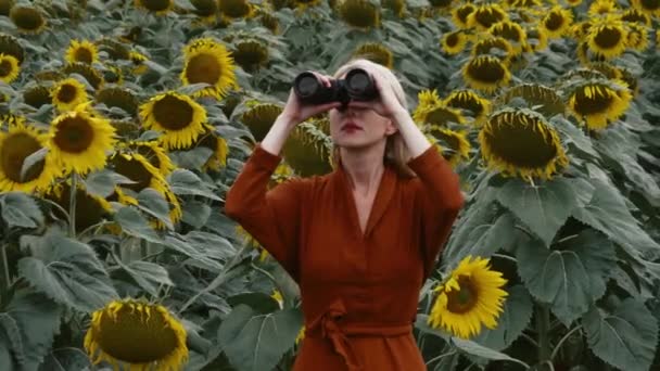 여름에 해바라기 필드의 중간에 쌍안경 드레스에 폴란드 — 비디오