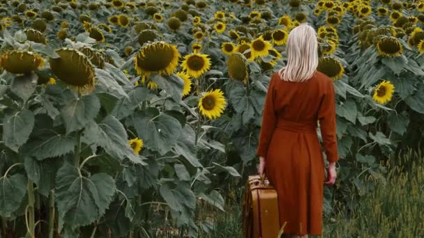 Стильна Жінка Червоній Сукні Валізою Посеред Соняшникового Поля Влітку Польща — стокове відео
