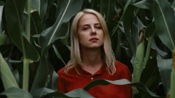 Vrouw Stijlvol Oranje Shirt Broek Het Midden Van Een Maïsveld — Stockvideo