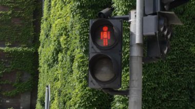 Wroclaw, Polonya 'da yayalar için trafik ışığı
