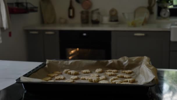 Pierniki Ciasteczka Tacy Przed Piekarnikiem — Wideo stockowe