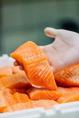 Yemek pişirmeden önce bir restoranda kesilmiş ve paketlenmiş somon parçaları.