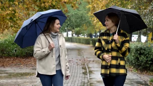 Belle Mère Belle Fille Marchant Ensemble Avec Parapluie Dans Parc — Video