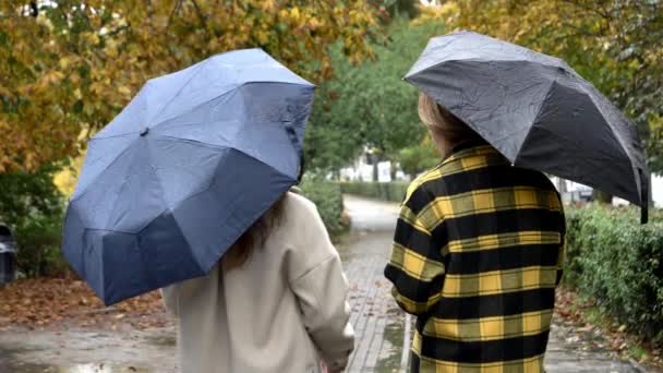 브로츠와프 폴란드에서 우산과 시어머니 법률과 — 비디오