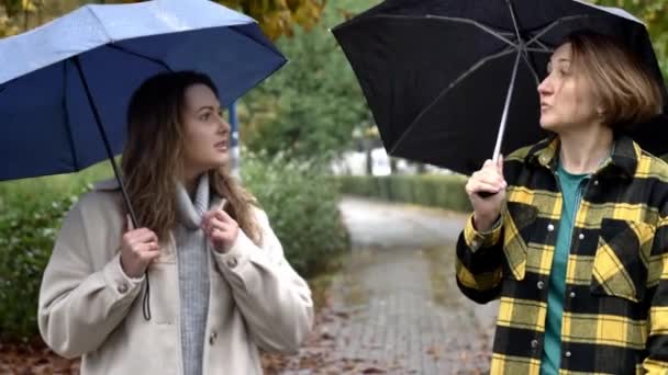 Svigermor Svigerdatter Går Sammen Med Paraply Efteråret Park Wroclaw Polen – Stock-video