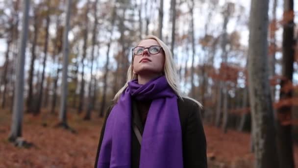 秋の季節の森に立っている紫色のスカーフとコートのスタイリッシュな女性 ポーランド — ストック動画