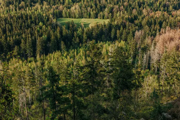 Landschap Van Noord Tsjechië Polen Zuidelijke Berggrens Rechtenvrije Stockfoto's