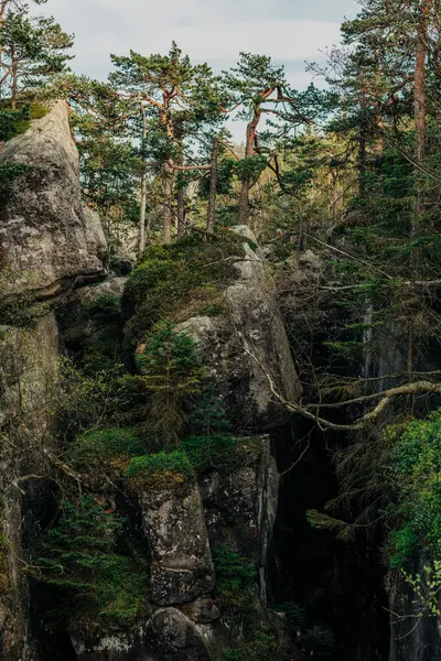 Stone Gorge Mountains Czech Polish Border รูปภาพสต็อกที่ปลอดค่าลิขสิทธิ์