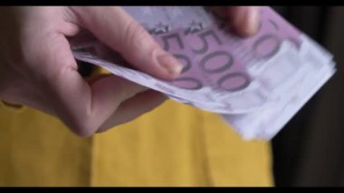 Yukarıdan bakıldığında, elinde avro banknotları sayan bir kadının videosu.