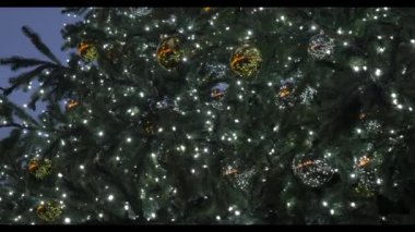 Polonya 'nın Wroclaw meydanında dizgi ışıklarıyla süslenmiş bir Noel ağacının yakın çekim videosu.