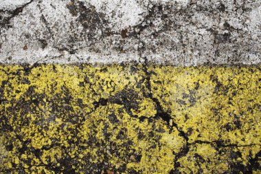 soyut arkaplan boyalı çatlak asfalt